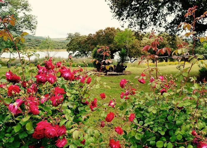 Alcornocalejo Монестерио